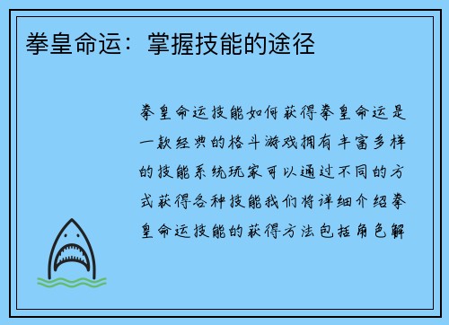 拳皇命运:掌握技能的途径